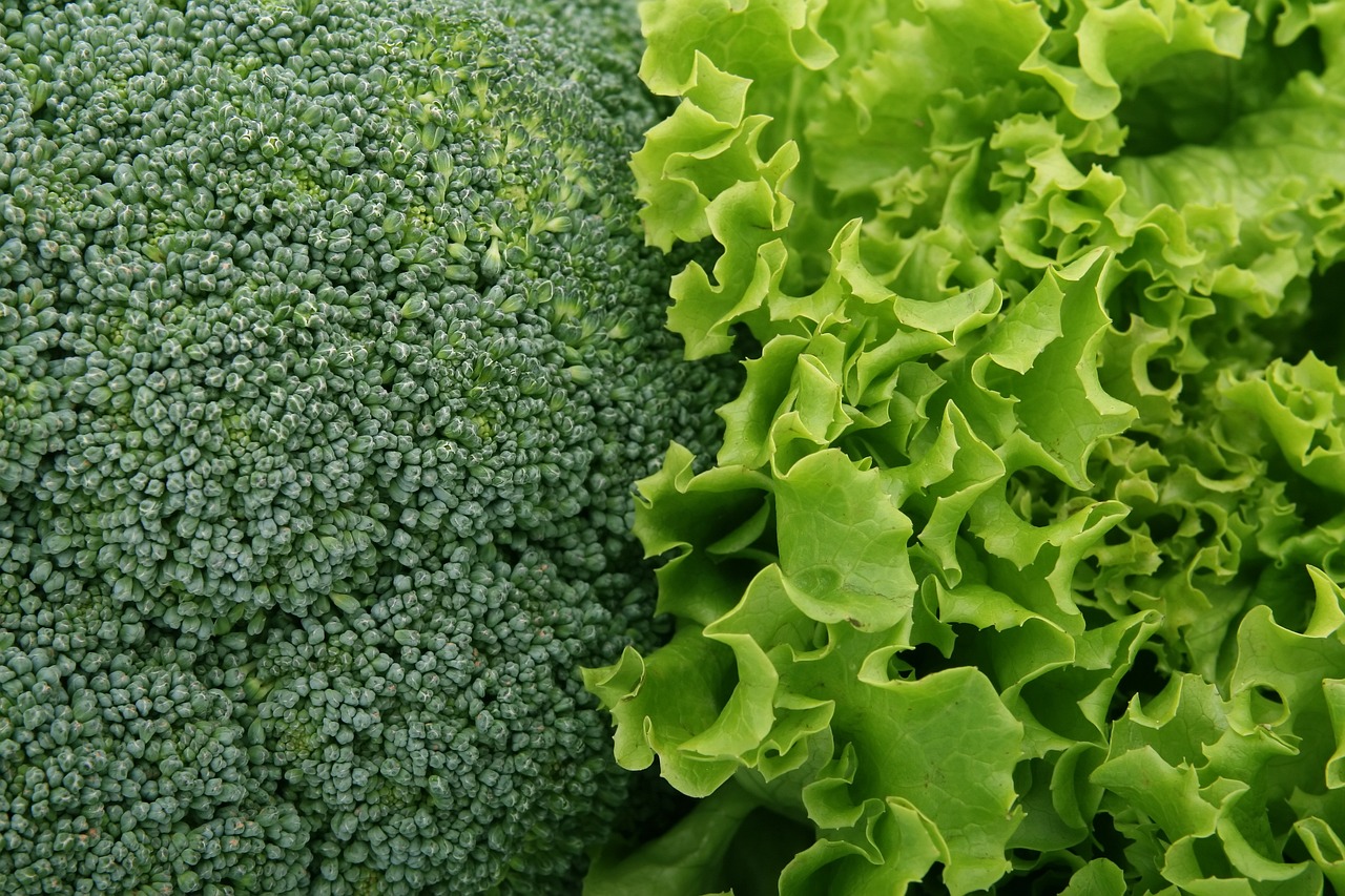 Top 12 zdrowych warzyw do jedzenia